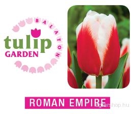 Tulipánhagyma - Roman Empire